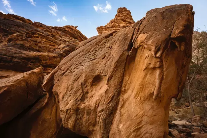 Al Ula Day Tour | Elephant Rock Tour | Dadan Tours